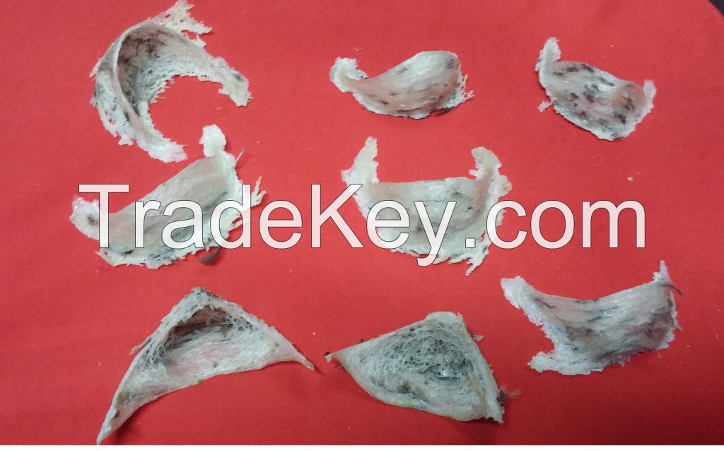 100% pure natural raw house swallow bird nest