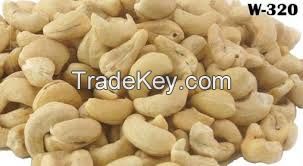 Raw Cashew Nuts for sale