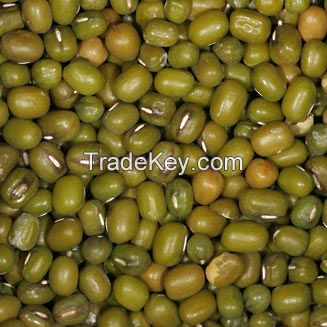 Vigna Beans