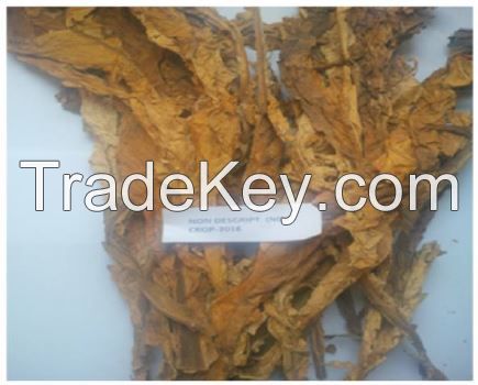 Premium Quality - Flue Cured Virginia (FCV) Tobacco - Grade: NDM (Non-Descript Middle)