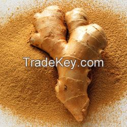 Ginger Powder