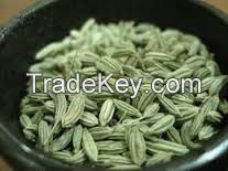 Fenugreek Seeds