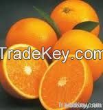 Fresh Citrus Fruit