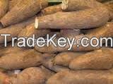 Fresh Cassava