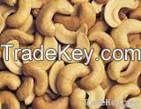 Organic Cashews Nuts