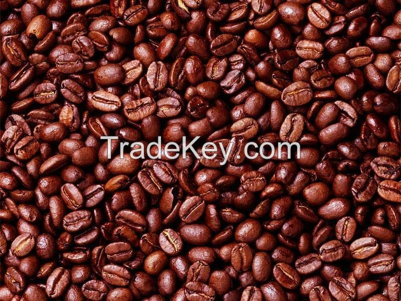 High Quality Cocoa Beans for sale