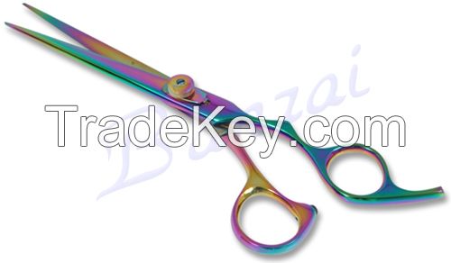 PROFESSIONAL HAIR SCISSOR