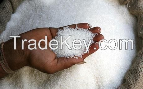 White sugar icumsa 45 Brazil Origin