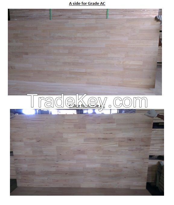 Rubber wood Panels