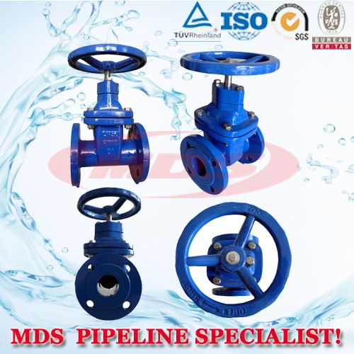 sell ductile iron resilient seated KSB gate valves