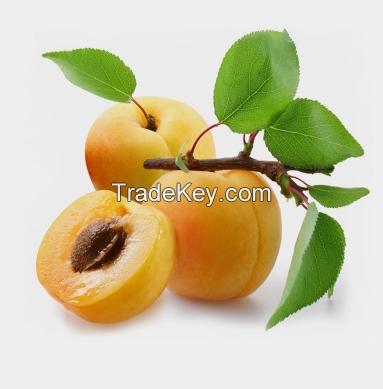 Almond Extract Amygdalin/Almond Extract Amygdalin Powder/Almond Extract Amygdalin 98%