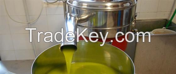 Organic Olive Oil in Bulk