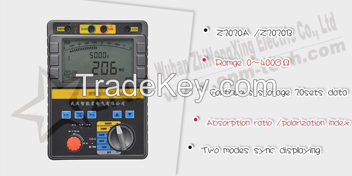 Intelligent insulated resistance tester