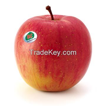 Sell Apples
