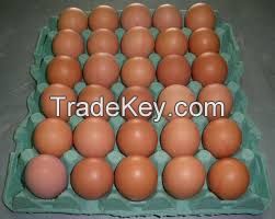 Fresh white and brown Chicken Eggs