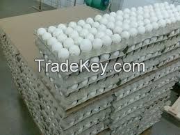 Fresh White and Brown chicken eggs available