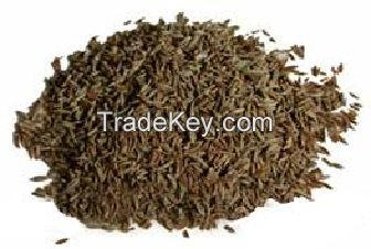 Cumin Seeds