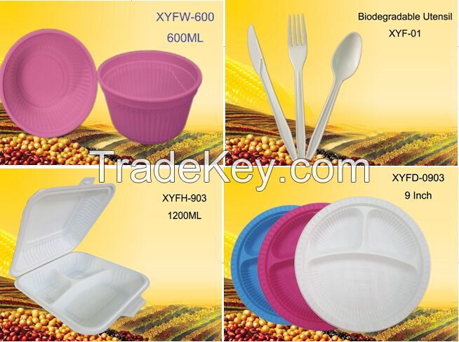 Disposable Lunch Box/plate/cup/box/fork