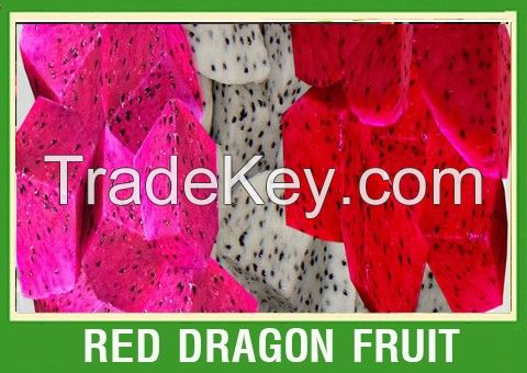 VIETNAM FRUIT, FRESH DRAGON FRUIT, CHEAP PRICE