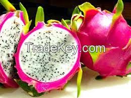 WHITE FLESH FRESH DRAGON FRUIT, CHEAP PRICE