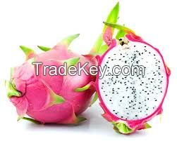 DRAGON FRUIT, CHEAP PRICE, NEW CROP