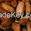 cacao beans