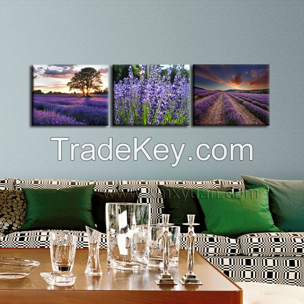 Canvas Wall Art, Sunshine Lavender Farm, Purple Tone, Gallery Wrap Wood Frame, Appealing Wall Hanging Use