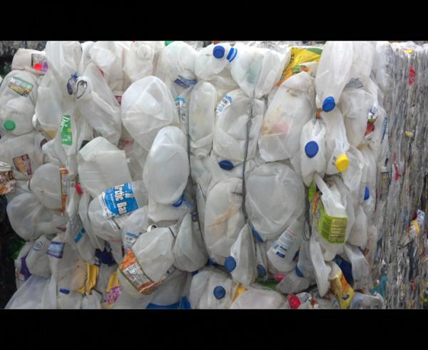 Hdpe milk bottle scrap