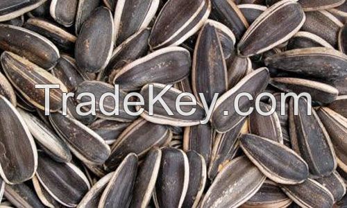 organic raw sunflower seeds