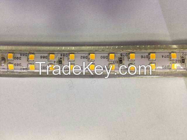 AC LED Double Row LED Strip