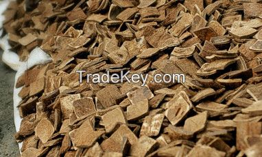 High quality coconut shell chips from Bangladesh