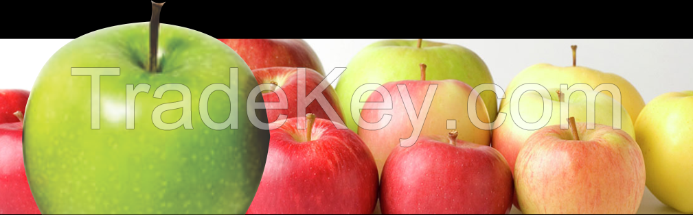 Fresh Apples for Sale!!!