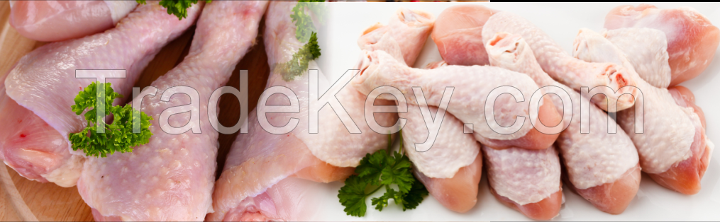 Frozen chicken Drumsticks available for immediate shipment