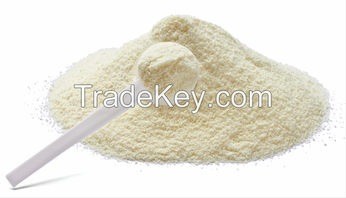 High Quality Full Cream Milk Powder for Sale