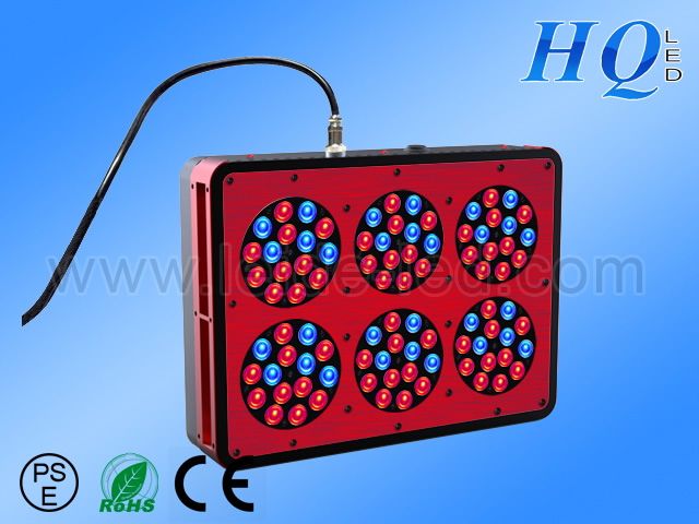 affordable and lowest price of led tube light