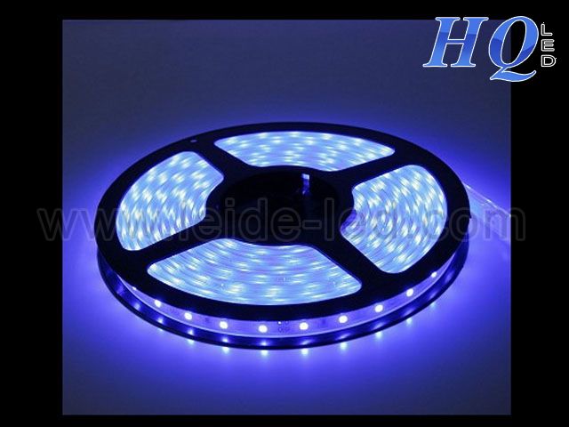 affordble and lowest price of led light