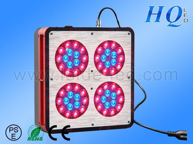 affordable and very low price of led light