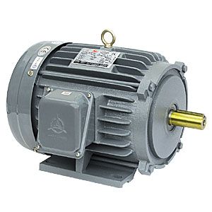 Low voltage three phase motor