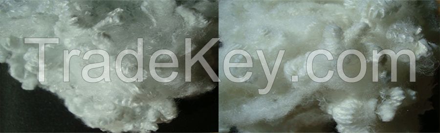 Polyester Staple Fiber Solid Regenerated.