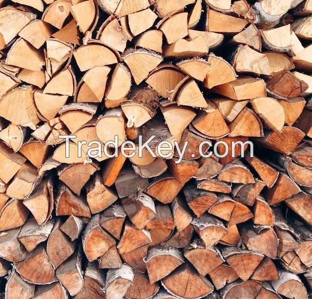 Oak firewood