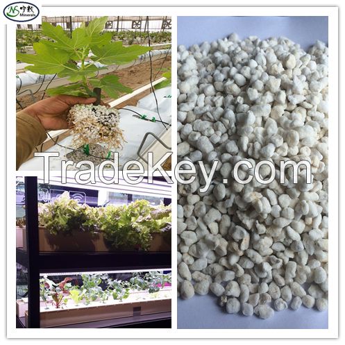High Quality Expanded Perlite in Agriculture, Horticulture, etc