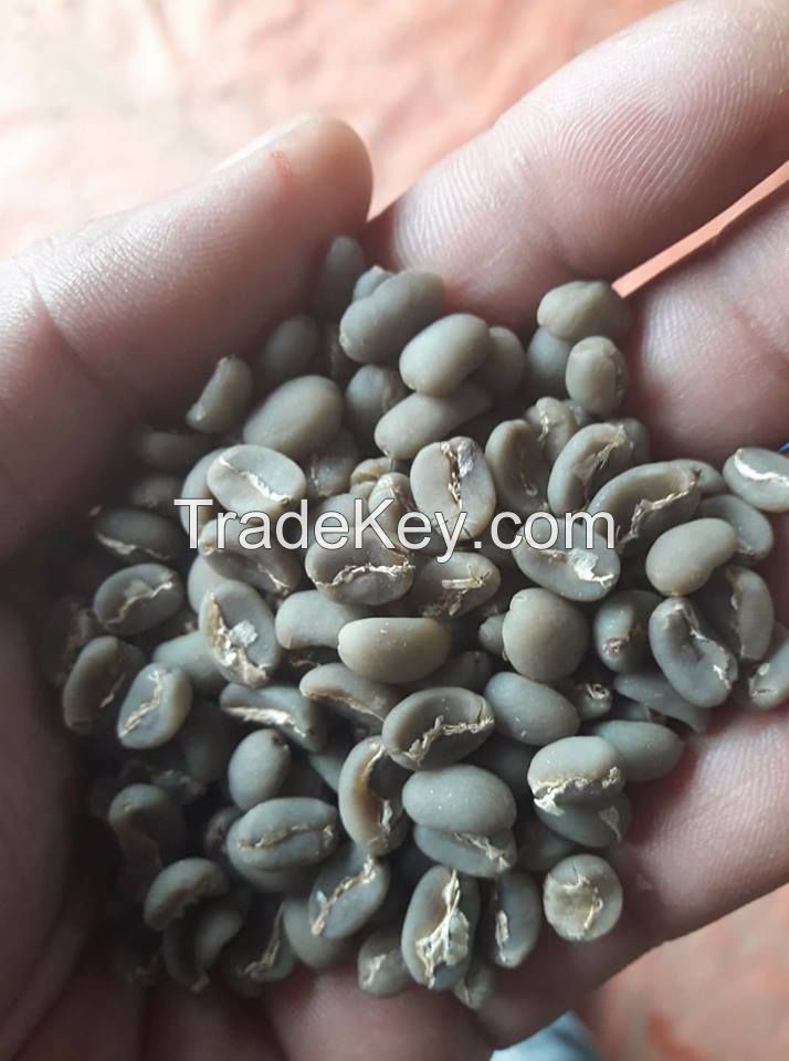 toraja arabica coffee bean