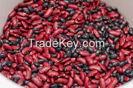 Kidney Beans