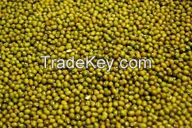 Mung Beans