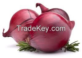 Sell Red Onion