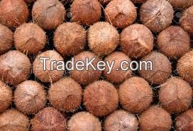 Dried Coconut, Coconut Flour, Coconut Flakes