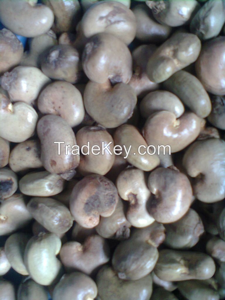 Sell Raw Cashew