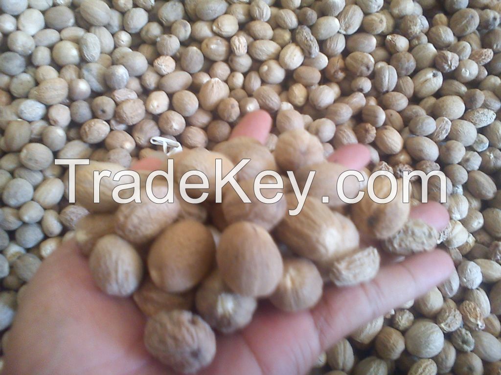 Sell Indonesian Nutmeg Without Shell