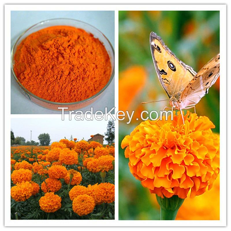 Xanthophyll for turtle only Marigold extract