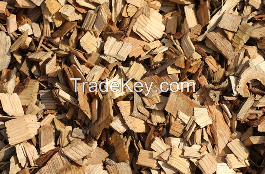 Acacia wood chips for paper industry